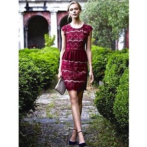 Anthropologie - MAEVE - Elsa Peplum Lace Dress